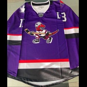 Custom Toronto Raptors X Maple Leafs Hockey Jersey (Mats Sundin) and Blank